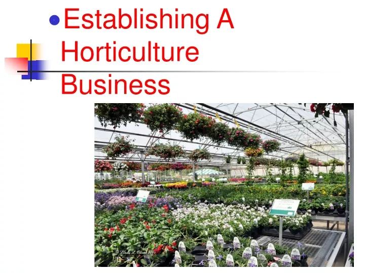 establishing a horticulture business