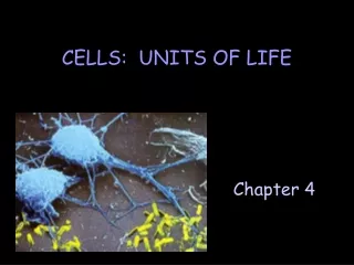 CELLS:  UNITS OF LIFE