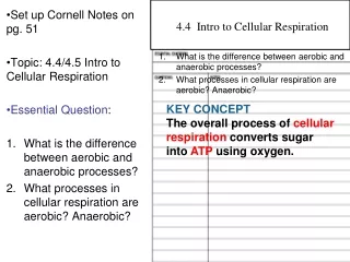 Set up Cornell Notes on pg. 51 Topic: 4.4/4.5 Intro to Cellular Respiration Essential Question :