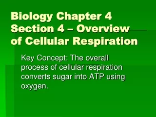 Biology Chapter 4 Section 4 – Overview of Cellular Respiration