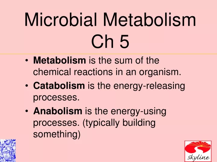 microbial metabolism ch 5