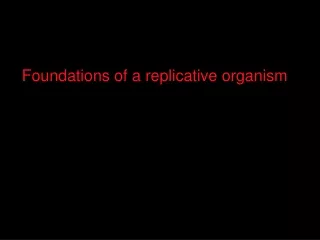 Foundations of a replicative organism