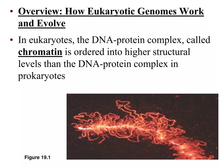 overview how eukaryotic genomes work and evolve