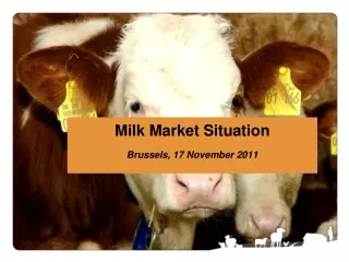 Milk Market Situation Brussels, 17 November 2011