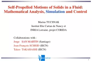 Self-Propelled Motions of Solids in a Fluid:  Mathematical Analysis,  Simulation  and Control