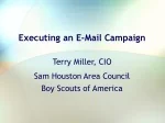 Mastering Effective E-Mail Campaigns - slide 1