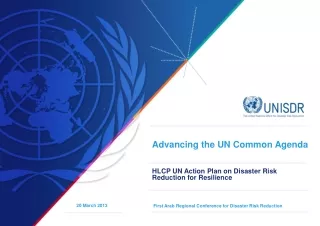 Advancing the UN Common Agenda