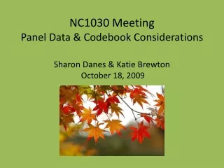 NC1030 Meeting Panel Data &amp; Codebook Considerations Sharon Danes &amp; Katie Brewton  October 18, 2009