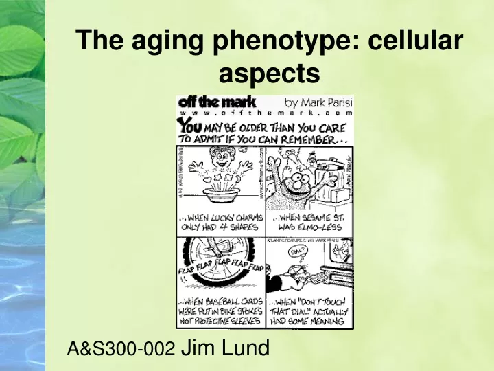 the aging phenotype cellular aspects