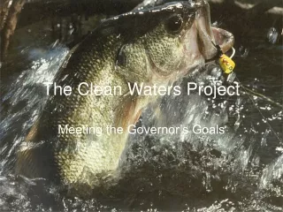 The Clean Waters Project