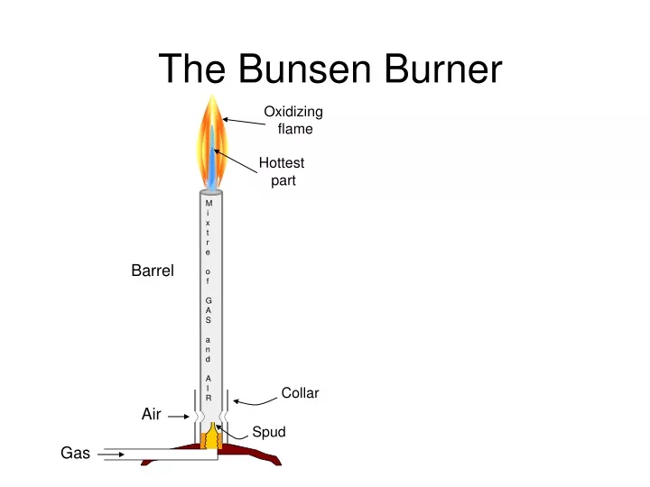 the bunsen burner