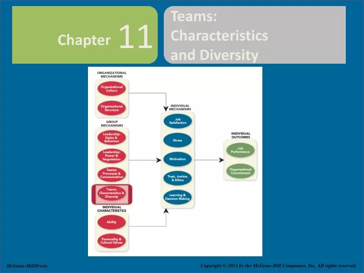 teams characteristics and diversity