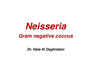 Neisseria Gram negative coccus Dr. Hala Al Daghistani