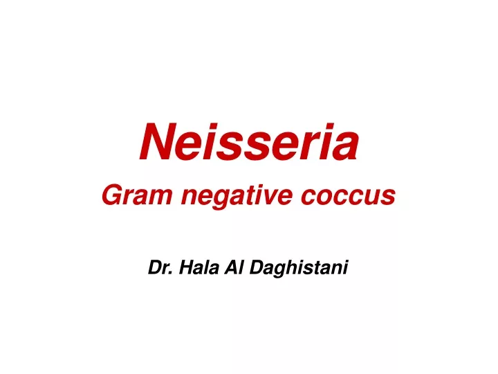 neisseria gram negative coccus dr hala