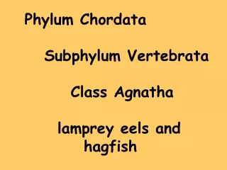 Phylum Chordata    Subphylum Vertebrata        Class Agnatha      lamprey eels and