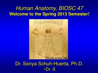 Human Anatomy, BIOSC 47 Welcome to the Spring 2013 Semester! Dr. Sonya Schuh-Huerta, Ph.D. ~Dr. S