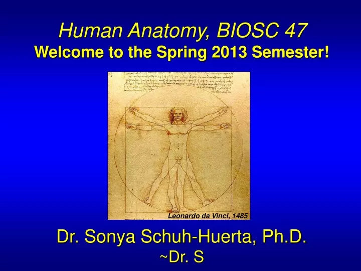 human anatomy biosc 47 welcome to the spring 2013
