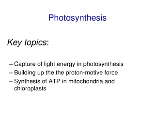 Photosynthesis