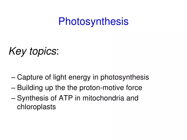 photosynthesis