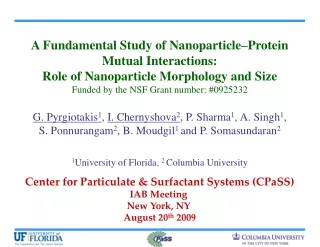 A Fundamental Study of Nanoparticle–Protein Mutual Interactions: