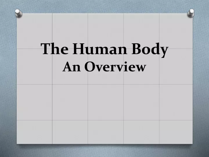 the human body an overview
