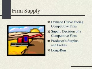 Firm Supply