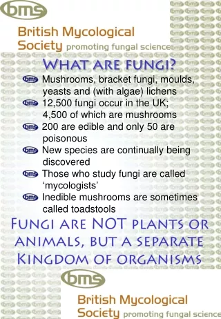 What are fungi? Mushrooms, bracket fungi, moulds, 	  yeasts and (with algae) lichens