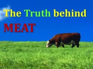 The  Truth behind   MEAT