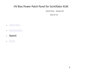 HV Bias Power Patch Panel for Scintillator KLM