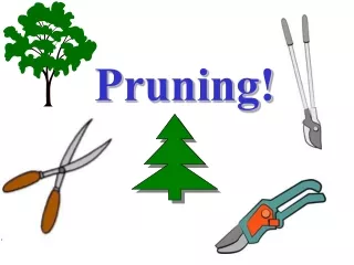 Pruning!