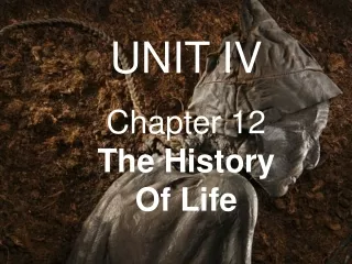 UNIT IV Chapter 12               The History Of Life
