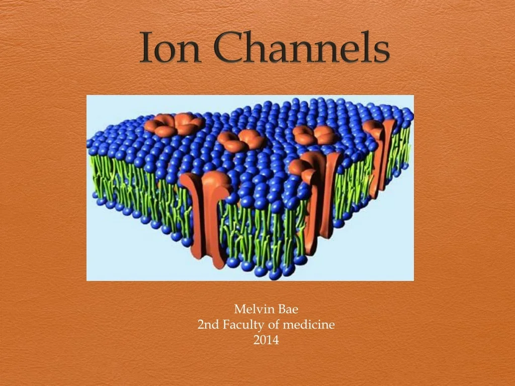 PPT - Ion Channels PowerPoint Presentation, free download - ID:9502254