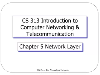 CS 313 Introduction to  Computer Networking &amp; Telecommunication