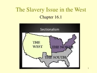 The Slavery Issue in the West