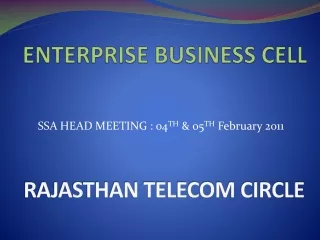 ENTERPRISE BUSINESS CELL