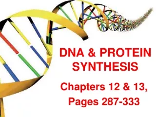 DNA &amp; PROTEIN SYNTHESIS
