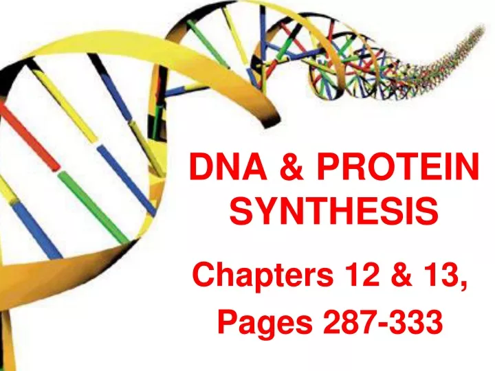 dna protein synthesis