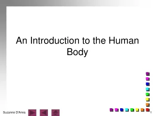 An Introduction to the Human Body