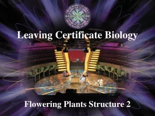 Flowering Plants Structure 2
