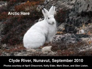 Clyde River, Nunavut, September 2010