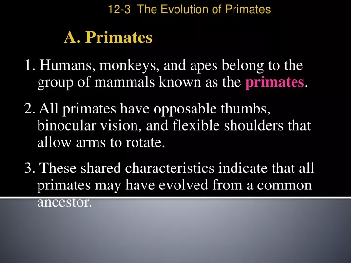 12 3 the evolution of primates