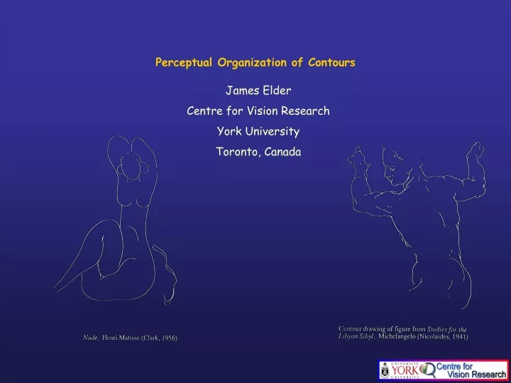 perceptual organization of contours