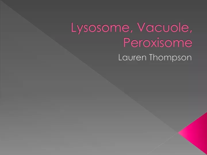 lysosome vacuole peroxisome