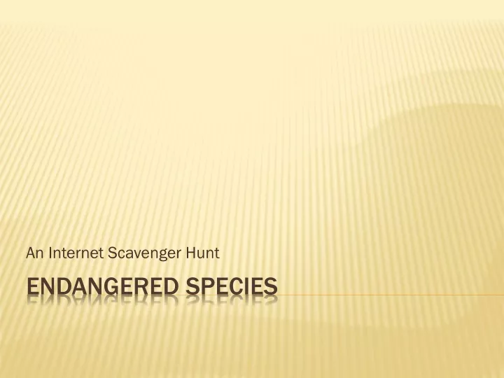 an internet scavenger hunt