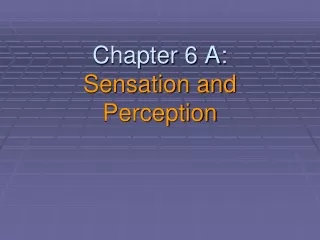 Chapter 6 A: Sensation and  Perception