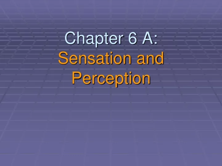 chapter 6 a sensation and perception