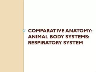 Comparative Anatomy: Animal Body Systems: RESPIRATORY SYSTEM