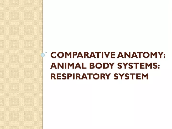 comparative anatomy animal body systems respiratory system