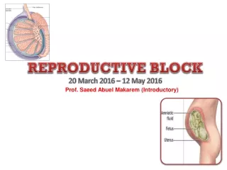 REPRODUCTIVE BLOCK 20 March  201 6  –  12  May 201 6