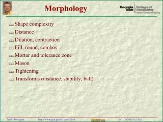 Morphology